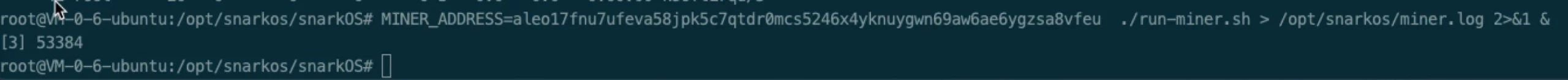 2亿美金融资,第一个支持私有和可编程的公链-Aleo-节点教程